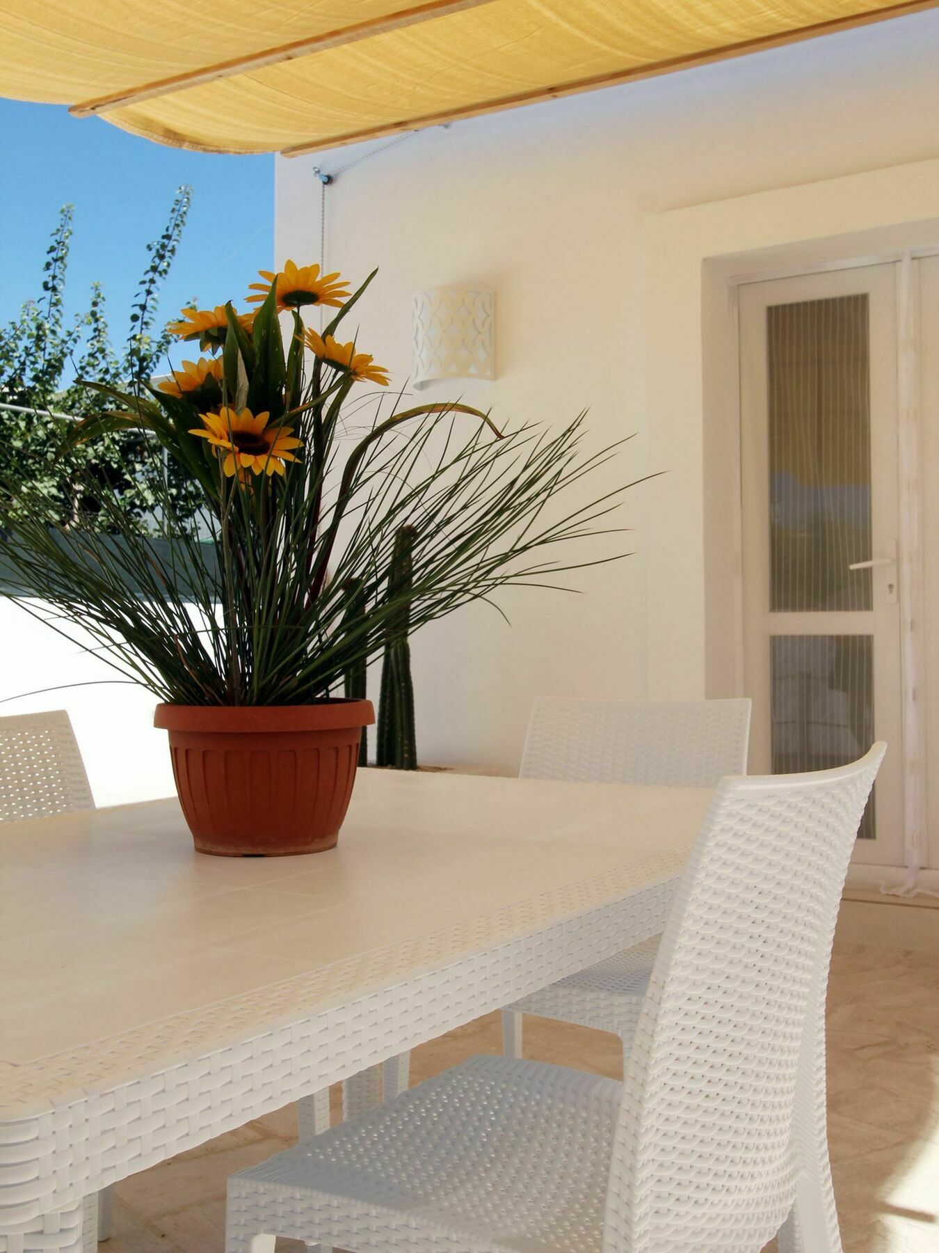 Casine Tu Paziu Villa Racale Ngoại thất bức ảnh